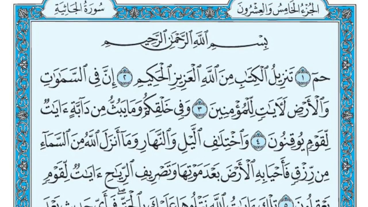 سورة الجاثية